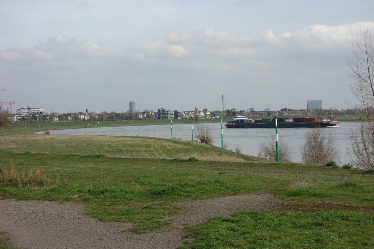 Apartment with Terrace,893638612:JPEG