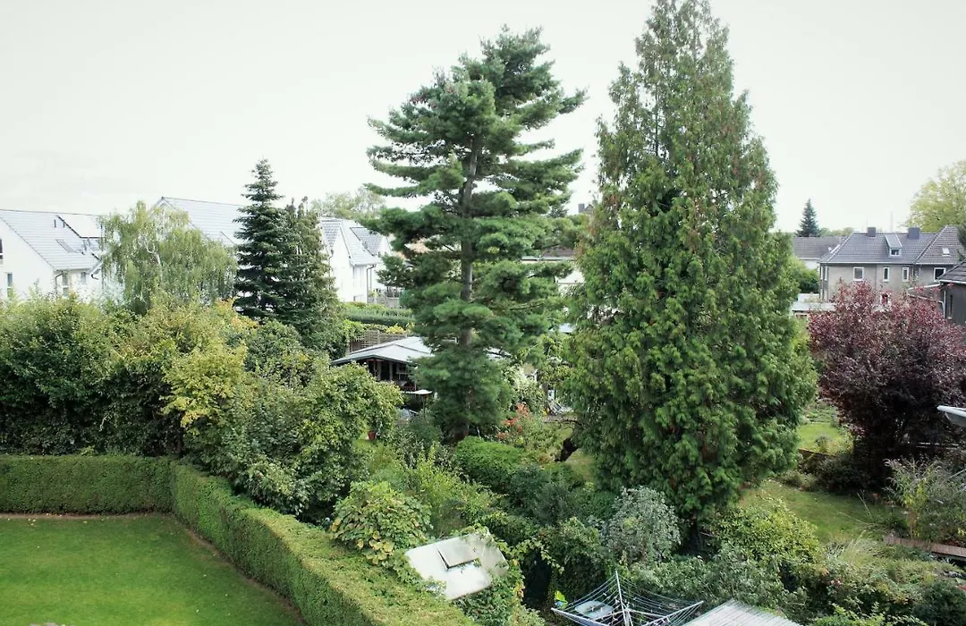 Apartment Fuer 4 Personen-1