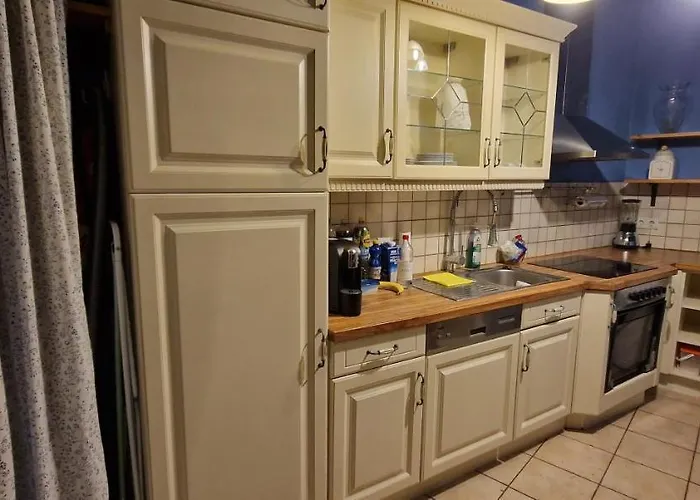 65Qm Ferienwohnung Dusseldorf Zentrum che accetta animali